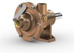 OB50PS-10 | Bronze Centrifugal Pedestal Pump | (50P) thumbnail 1