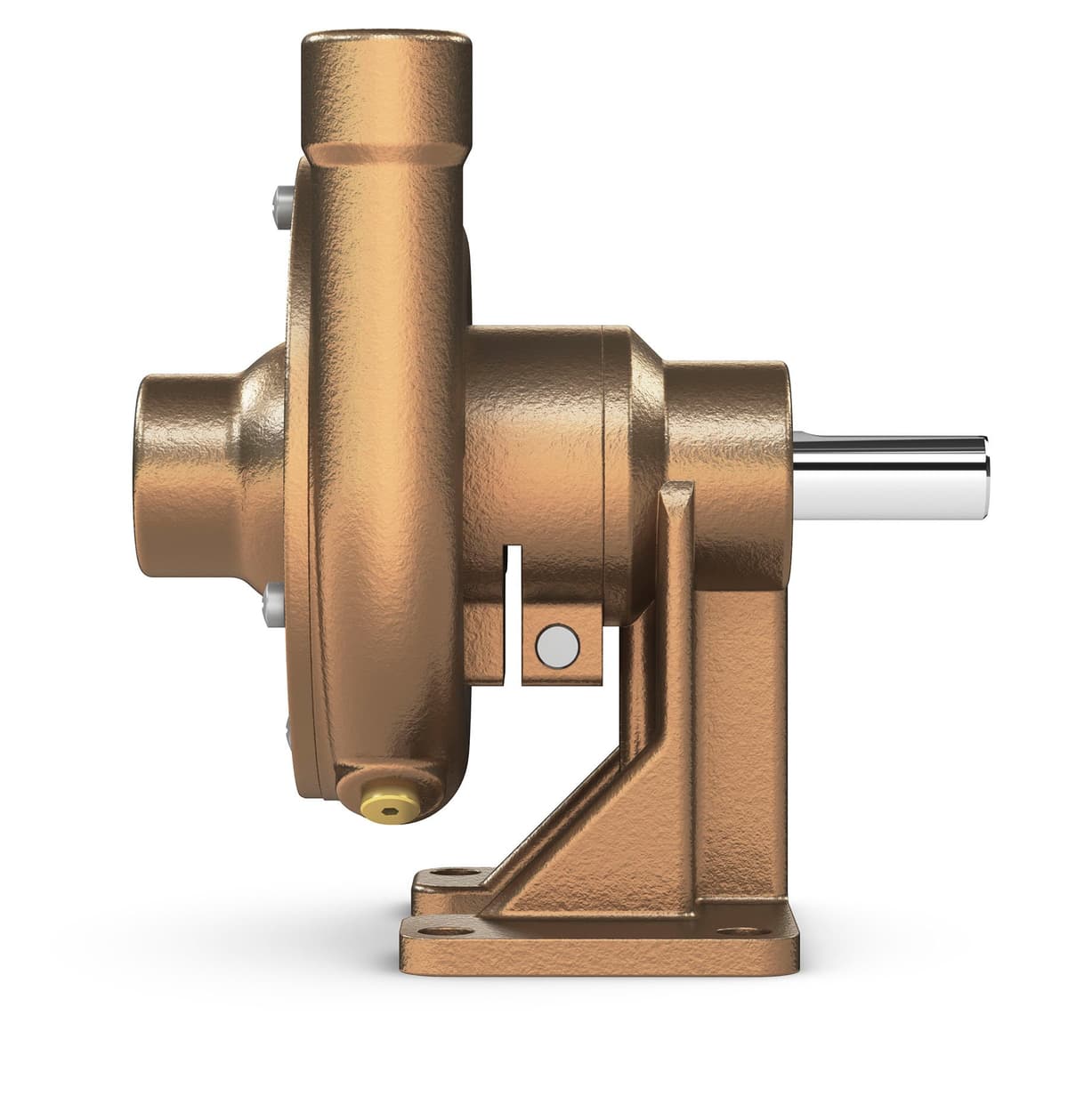 OB60P | Bronze Centrifugal Pedestal Pump | (60P) thumbnail 2